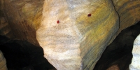 Chýnovská jeskyně - dračí hlava