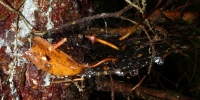 p1130989